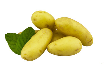 Young potatoes with green leaves isolated on white