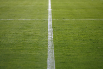 Soccer field with white lines on grass