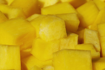Kürbis (Cucurbita maxima)