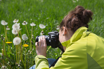 Hobby: junge Frau fotografiert im Sommer Löwenzahn