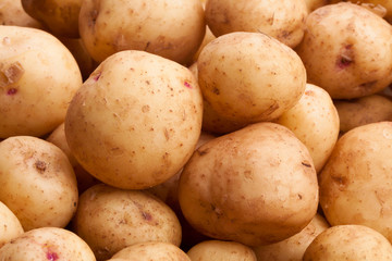 new potatoes