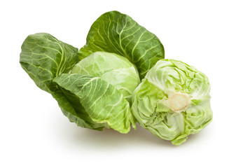 Fototapeta premium cabbage