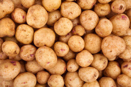 new potatoes