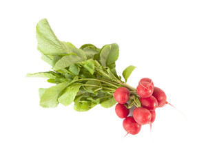 Fresh Bunch of Radish isolated on white
