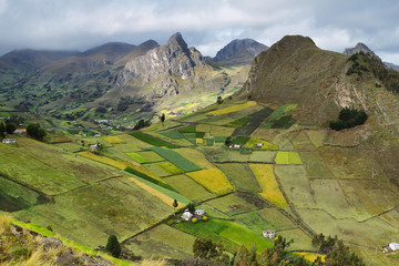 View of colorful terrace fields