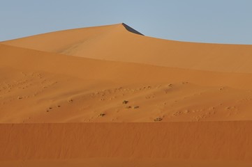 Düne im Sossusvlei