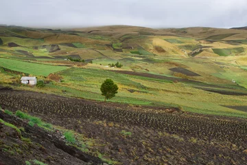 Tuinposter View of colorful terrace fields © estivillml