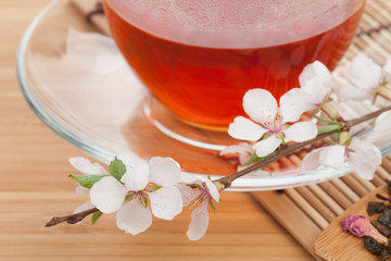 Fototapeta na wymiar Japanese green tea and sakura branch