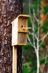 Birdhouse