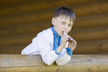 Portrait of a boy on a summer nature