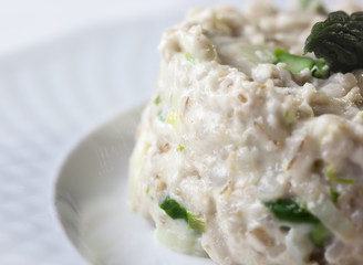 Medallions of pork tenderloin served with asparagus risotto .
