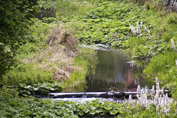 Bachlauf 1