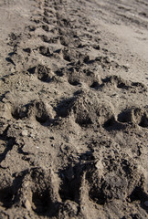 Caterpillar tracks traces on the ground