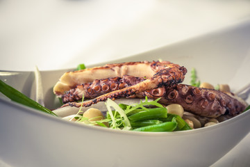 Cold served bean salad, freeze lettuce with warm grilled octopus