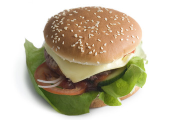 Hamburger
