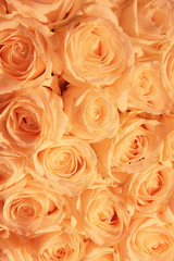 Orange rose bridal arrangement