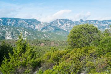 Obraz premium Landscape in Sardinia