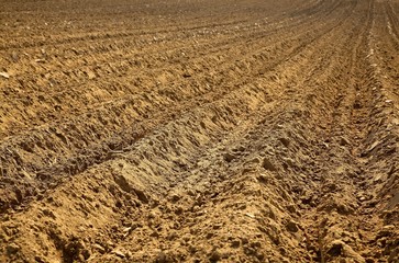 Soil