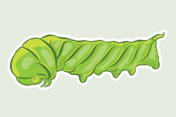 Green caterpillar