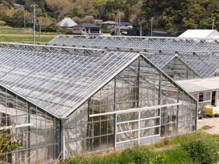 ビニールハウス