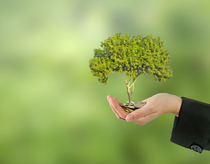 Investing to green business