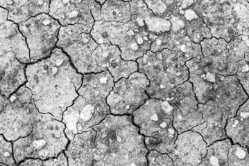 Dried earth