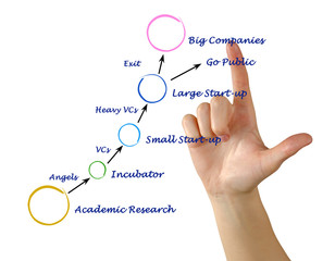 Innovative company growth