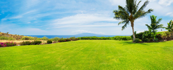 Obraz na płótnie Canvas Green Field and Ocean View