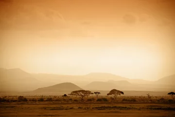 Fotobehang Zuid-Afrika afrikaanse savanne bij zonsopgang
