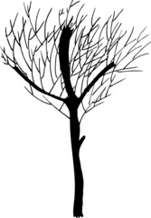 hand draw sketch, dead tree