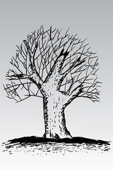 hand draw sketch, dead tree