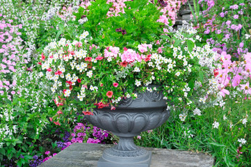 Fototapeta na wymiar beautiful flower bed in vase