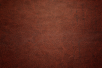 dark color of Detailed Leather.