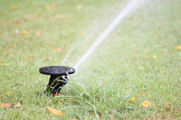 water spread out from the Sprinkler of garden equipment