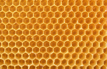 honeycomb background - 64893940