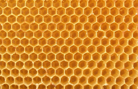 honeycomb background