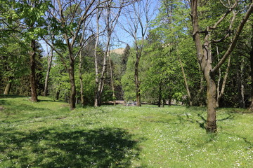 Fototapeta premium alpe del Vicerè
