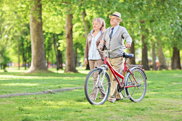 Fototapeta premium Happy mature couple walking in park