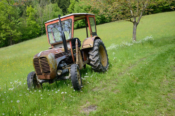 Alter Traktor auf der Frühlingswiese