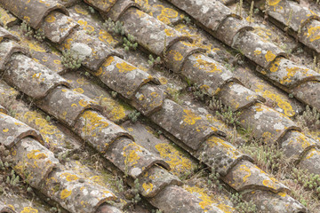 old roofs