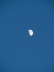 Right half moon in the silent day sky