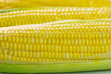 Corn cob