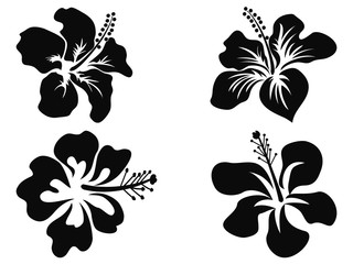 Hibiscus vector silhouettes - obrazy, fototapety, plakaty