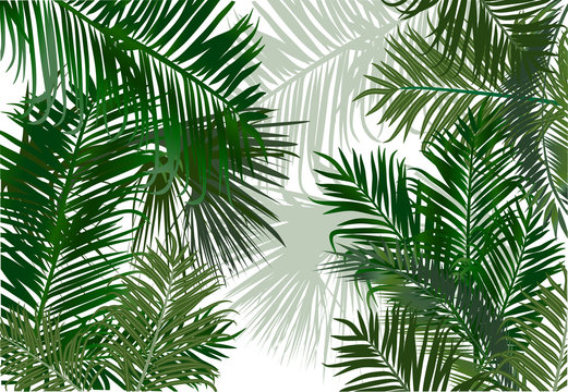 palm and fern leaves green background