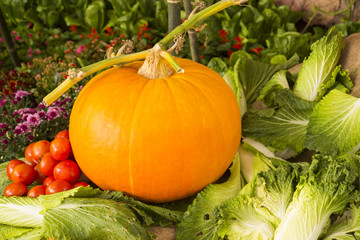 pumpkin with tomato and cabbage