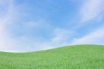 green field with blue sky