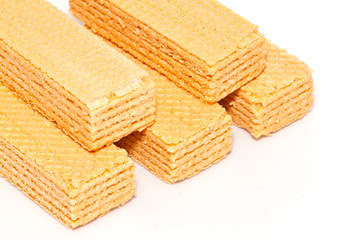 the bread on paper background