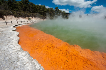 Champagne pool
