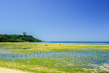 沖縄県　ニライビーチ