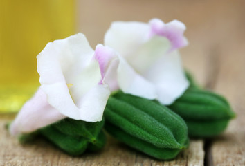 Fototapeta na wymiar Green sesame seeds with flower and oil